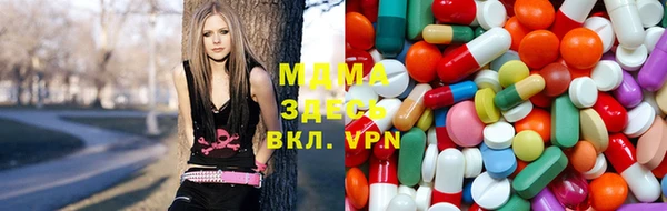 прущие грибы Няндома