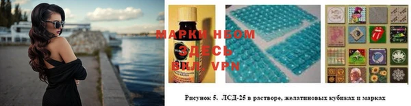 прущие грибы Няндома