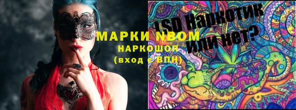 ECSTASY Новодвинск