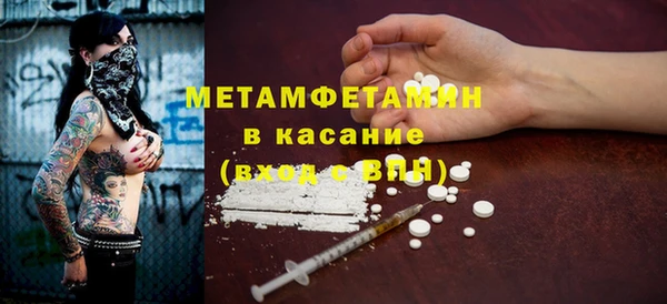 прущие грибы Няндома