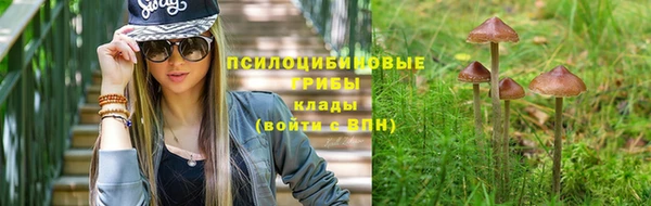 ECSTASY Новодвинск