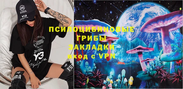прущие грибы Няндома