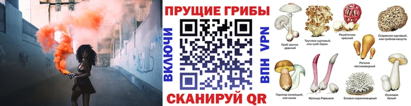 Галлюциногенные грибы мухоморы  Пугачёв 